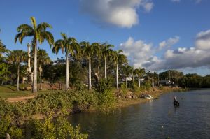   Cooktown River Flows Through the Town 